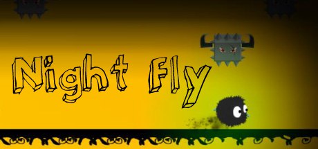 Night Fly Logo