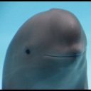 Mhm emote (inline chat version)