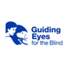 Guiding Eyes Background