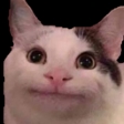 politecat emote (inline chat version)