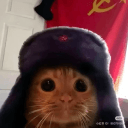 quangtwo_t