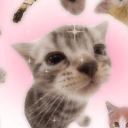 charrachan