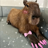 CAPIBARA FELIZ