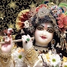 sreekanth kevin