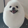 Egg Dog