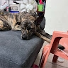 潘玥玥