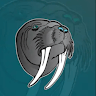 Корж Морж
