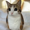 Асема Сопубекова