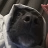 Salo