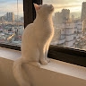 葉昀