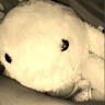 Andy Andy