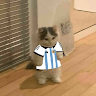 Roblox 05