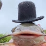 Sebastian Chuecos