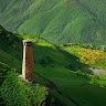 Tuğra Bey