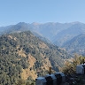 Rohit Yadav