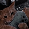 Тимур Тарасов