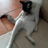 Marcoiz777