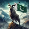 Pak ناصر (‫Pak ناصر‬‎)