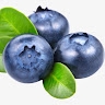 Blueberry