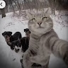 Гена_Тугадум Дебил