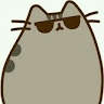 Liyam N.