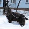 Влад «Brownie» Париш