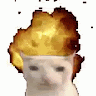 Pecausa Sanches