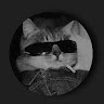 Pro Cat