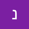 נועם אלגרבי