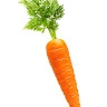 a carrot