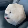 Name Here