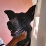 luis soto