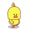 Pollo Mojado