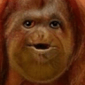 monkee ee