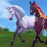 Star stable Polska