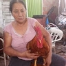 Alba Lalangui