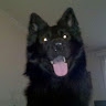 sofi060726