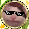 Flavio
