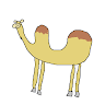 cammel