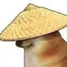 Đạt