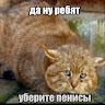 Роман