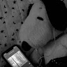 Majo “Majo”