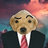 perro lol
