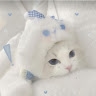 sakuraa