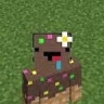 Fan de Ninjaxx et de Minecraft