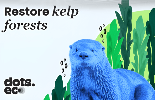 Dots.eco - Restore Kelp Forests