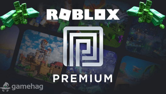 Robux Earning Interface