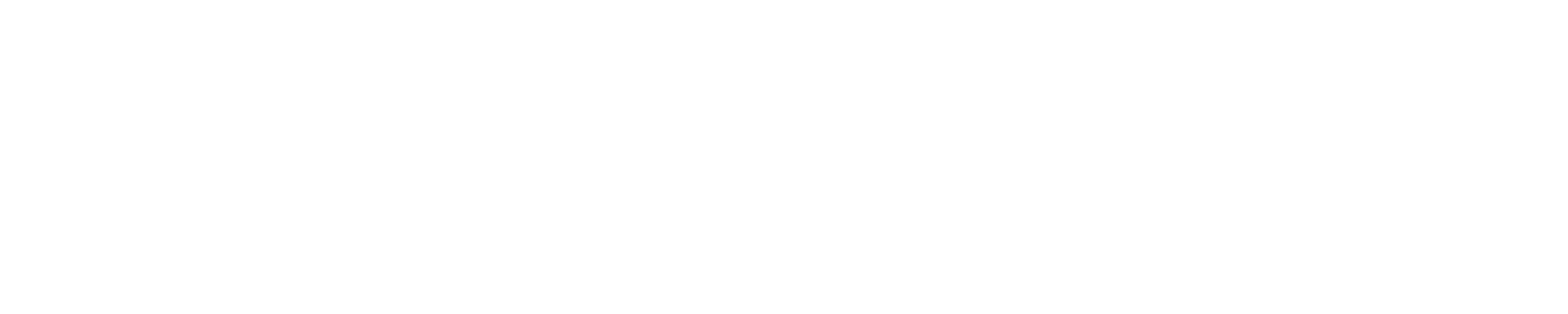 Prime Surveys Logo