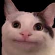 politecat emote (inline chat version)