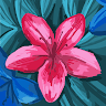 janna4h.r